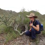 Big Bend Outdoors Safety Tips