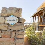 3 Dreamy Days In Big Bend, Texas