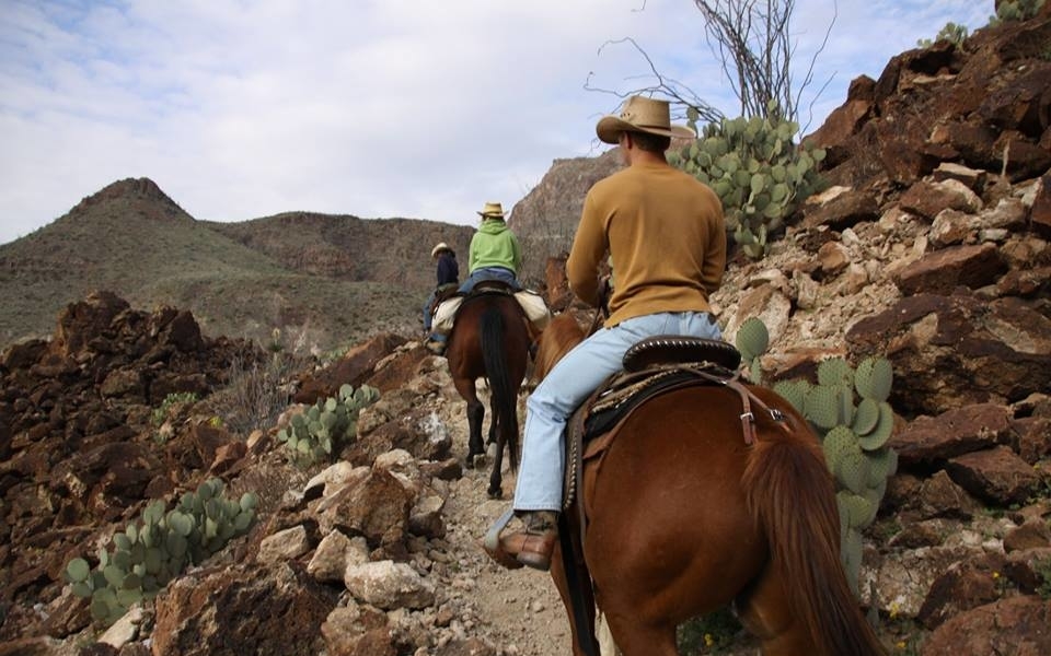 Big Bend Stables