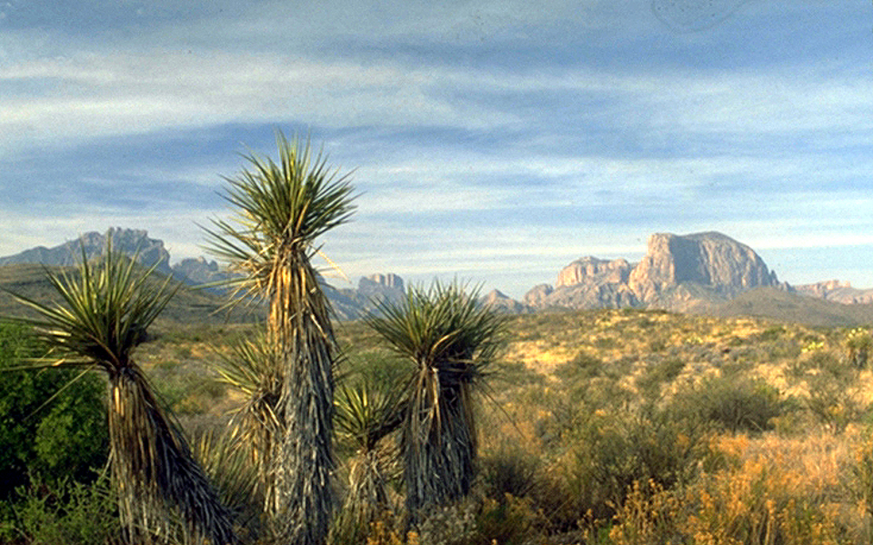 Sam Nail Ranch